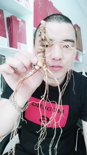 人参科普