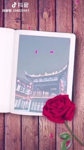 我知道遇见你不容易，爱你宠🐷