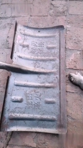 小猪佩奇