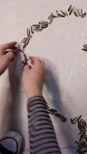 女人一生