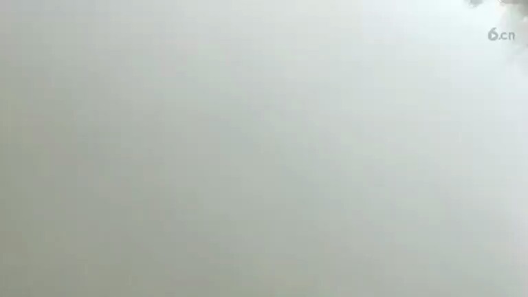 早上好