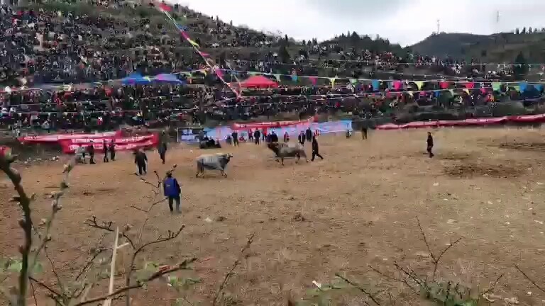 超娃四川苗族麻江靶山节