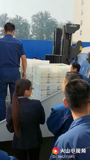 德州扒鸡
