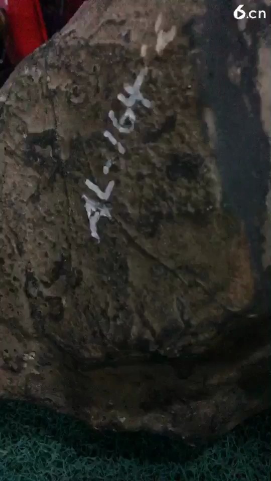 冰蓝坨坨