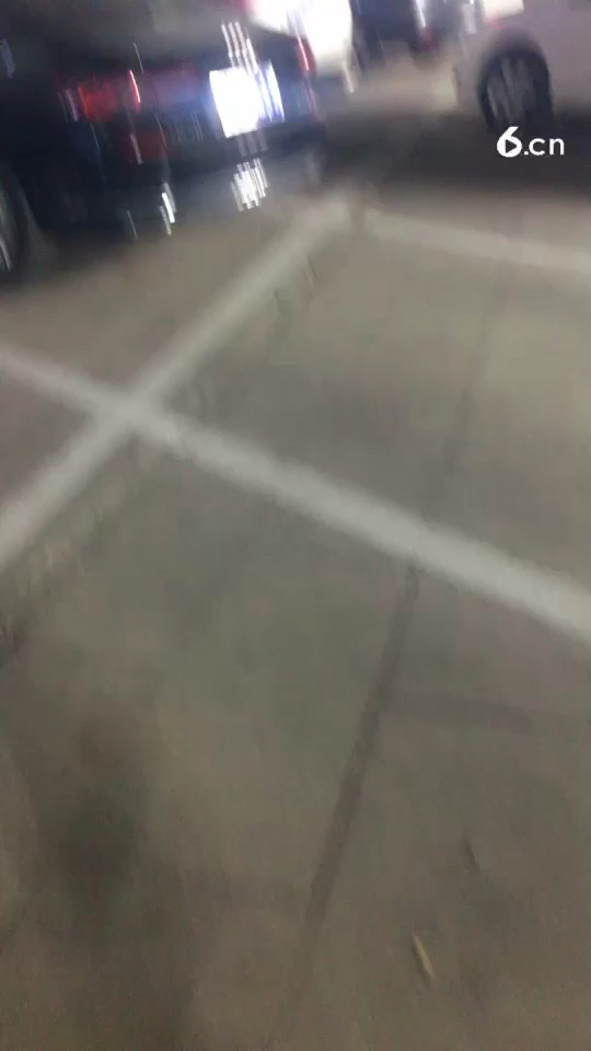期待那个他