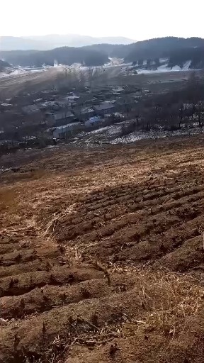 看看这是什么地方
