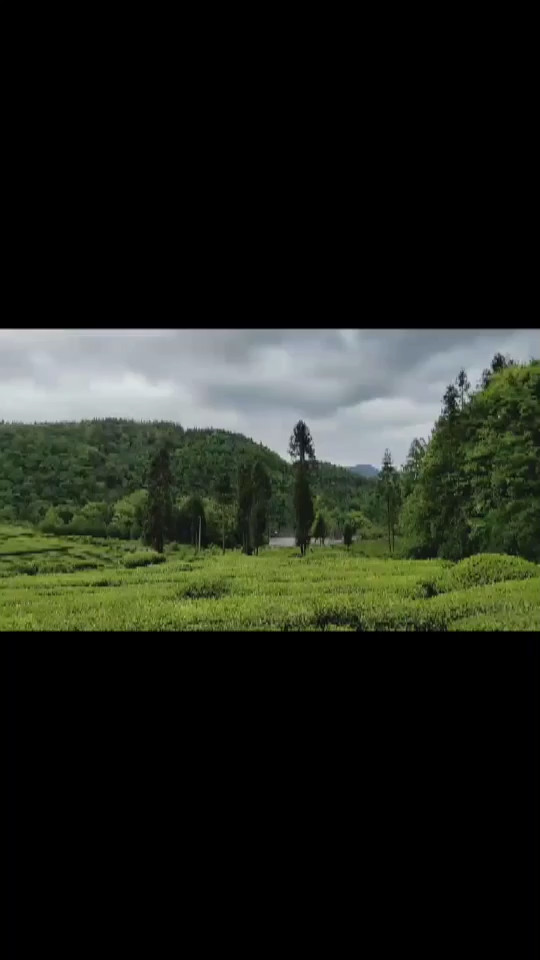 小江美景直播