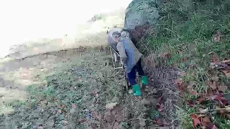 犁田