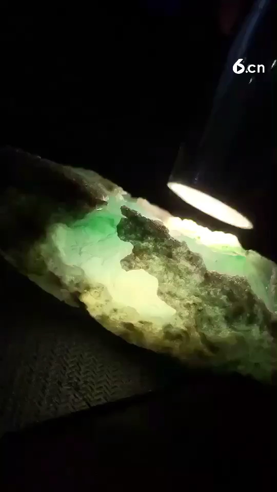 喜欢的关注