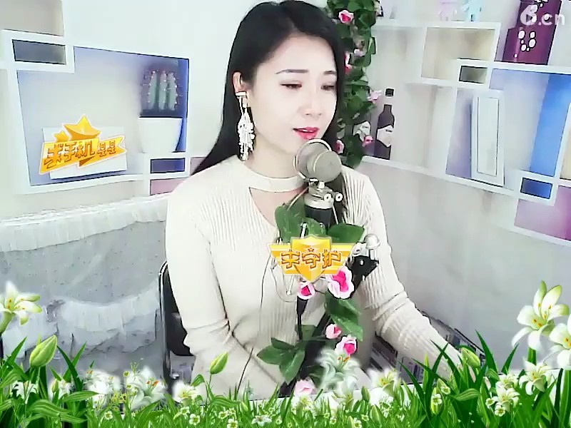 南飞雁
