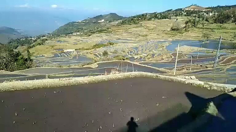 红河梯田