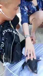 中國美女三亞互動