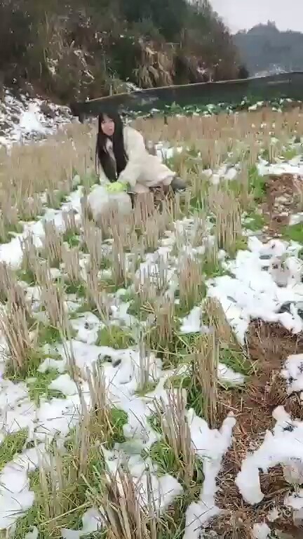 堆雪人了☃️❄