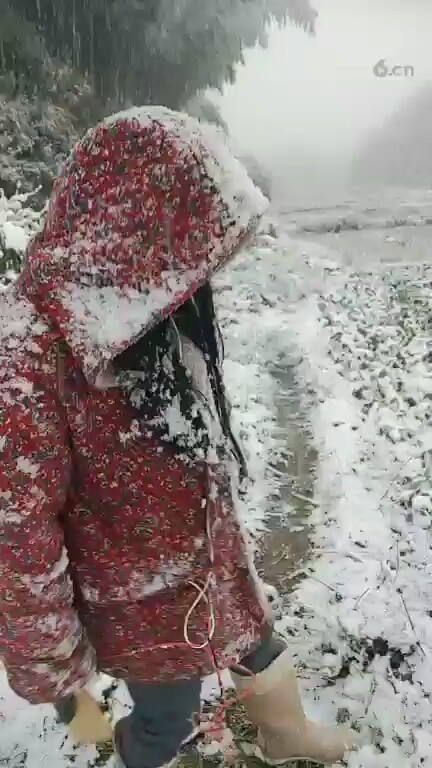 😂😃❄
