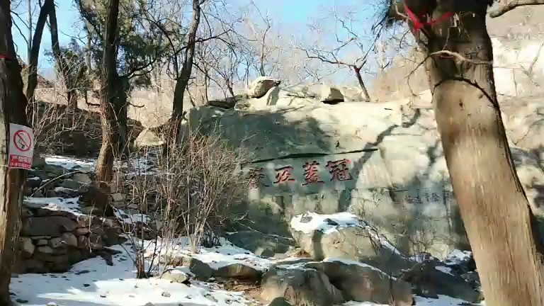 泰山