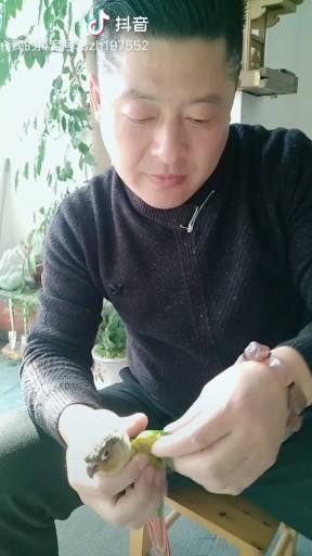 不管什么东西 盘他