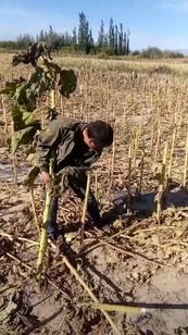 馬哥個(gè)人生活圈 搞笑視頻，