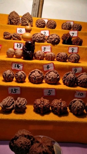 每晚8点半文玩核桃开播