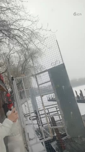 北京的第一场雪