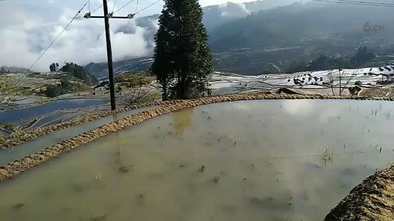 江总云南梯田影4