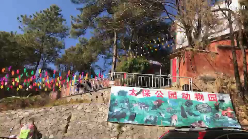 可真是好玩