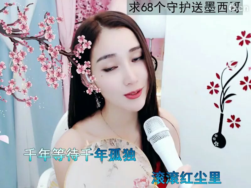 白狐