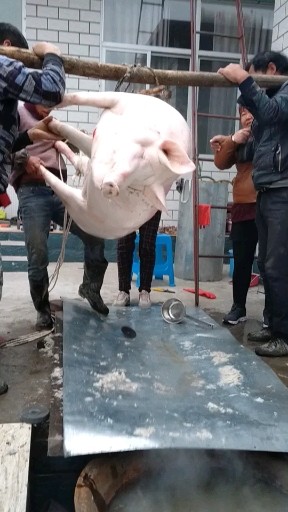 过年呀！准备个大礼物