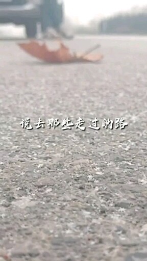 喜欢我的请多多关照