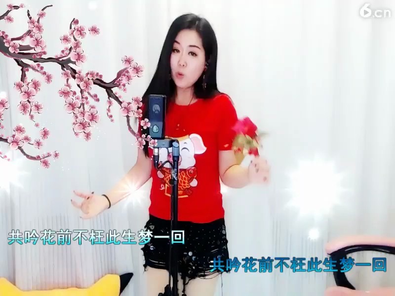 梅花泪