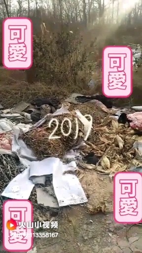 瞌睡死我了