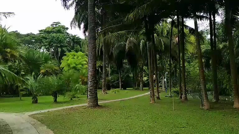 太美了