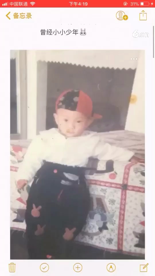 最近这个特别火