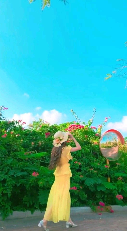 风景好美