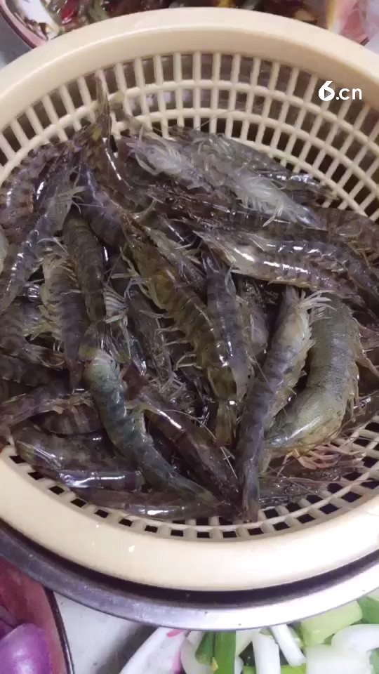 虾虾们 对不住了
