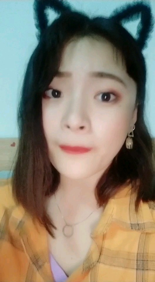 今天属猫🐱🐱🐱