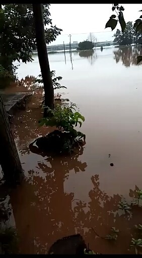我家门前的一片谷子都淹成一片海
