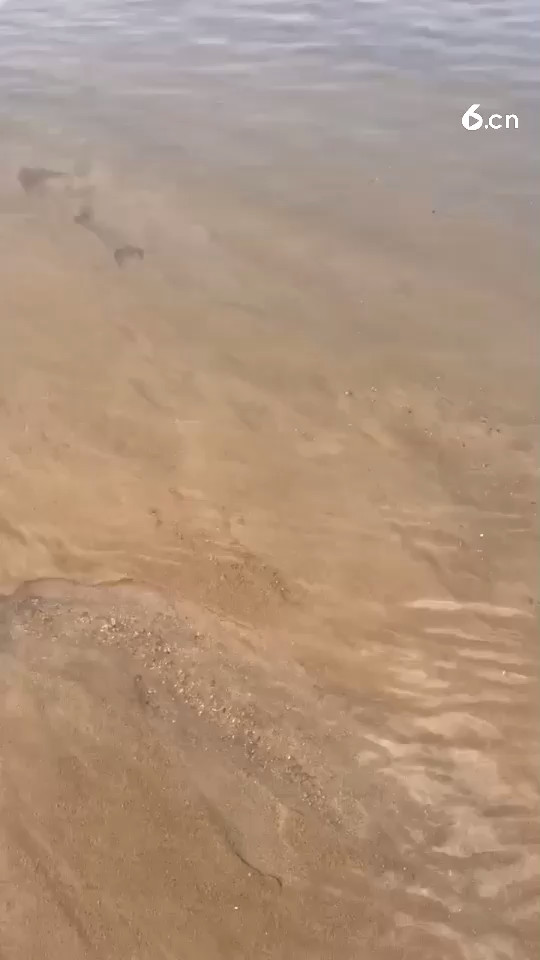 累的时候没人懂，烦的时候没人哄