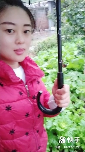 菜园摘点菜