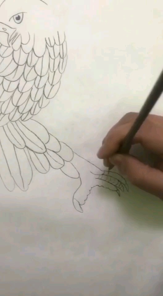 雄鷹展翅