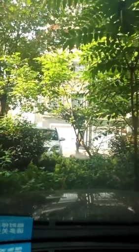 环境不错