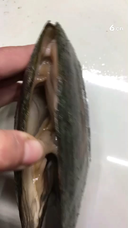 紫色的好看哦