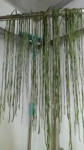 一帘幽梦