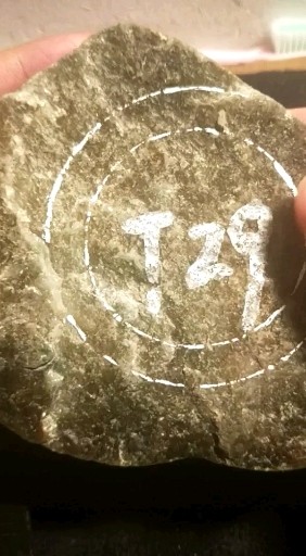 刚回来的新料，南其