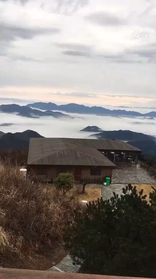 美