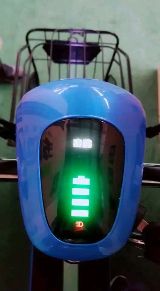 赛鸽电动车小公主三代！就是美！