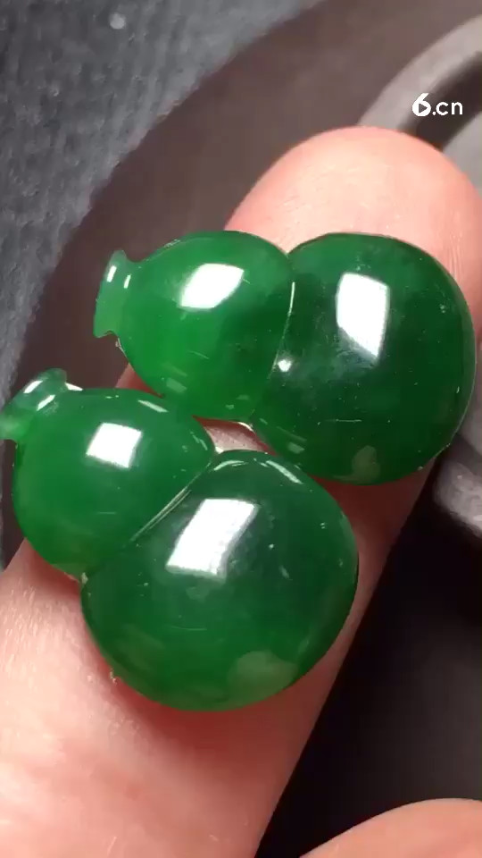 5800阳绿葫芦，种老