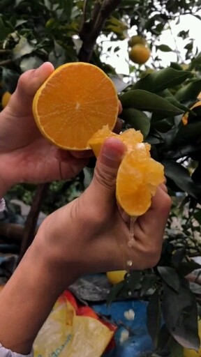 666