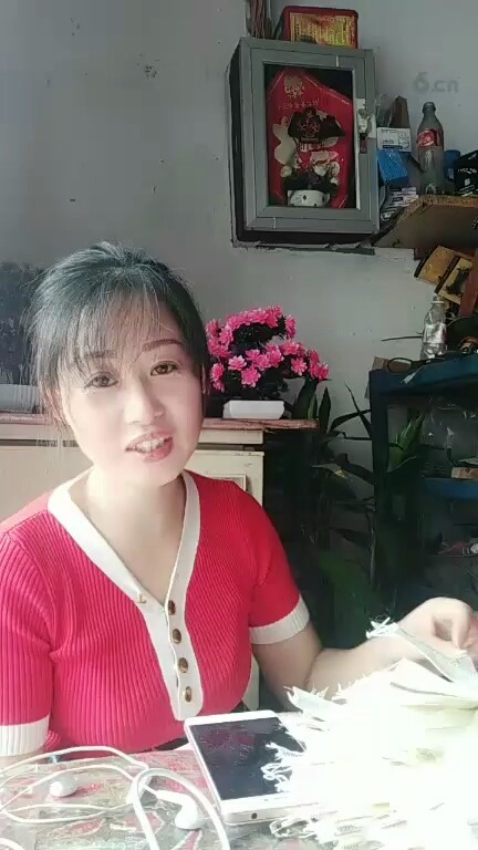真美丽