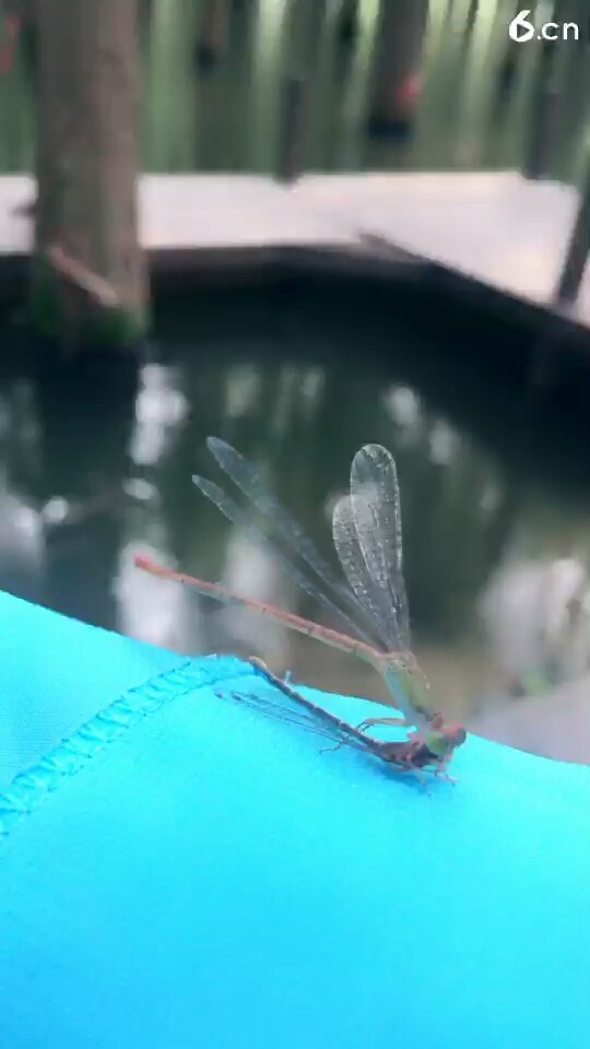 才