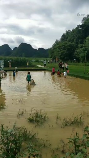 抓鱼哈哈哈